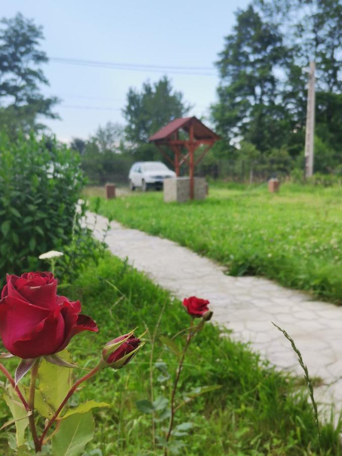 Casa Luca Ama Bran Villa Bran  Buitenkant foto