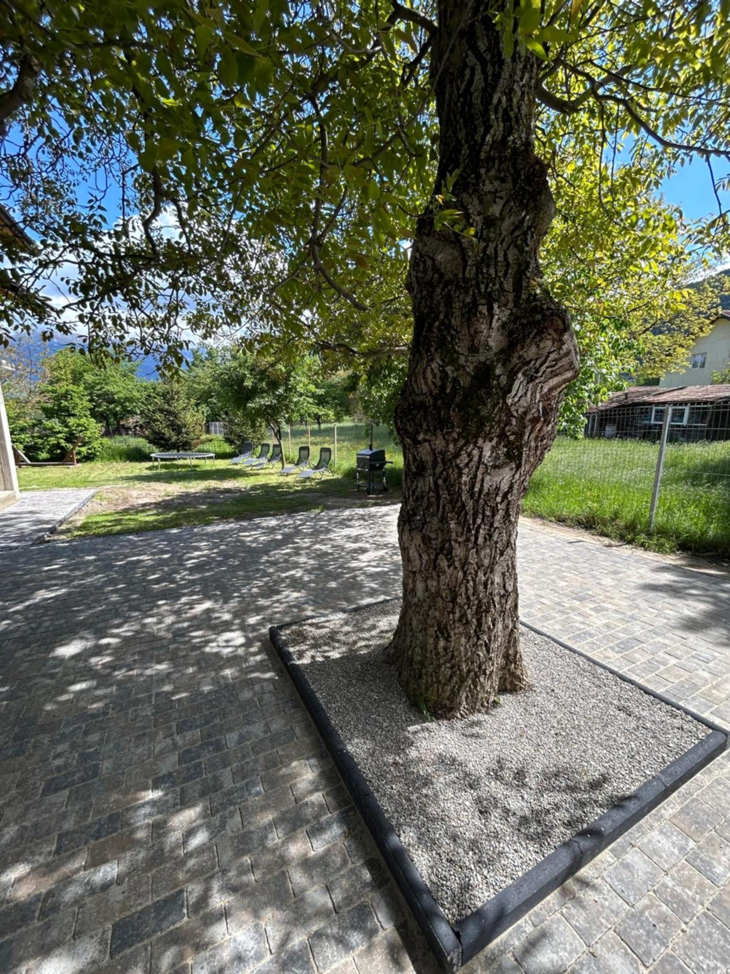 Casa Luca Ama Bran Villa Bran  Buitenkant foto