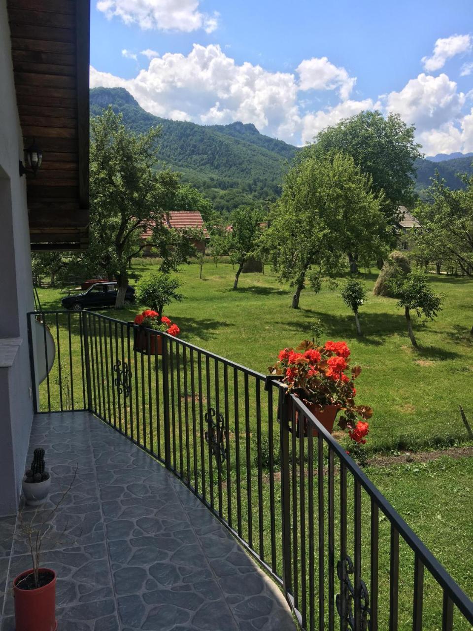 Casa Luca Ama Bran Villa Bran  Buitenkant foto